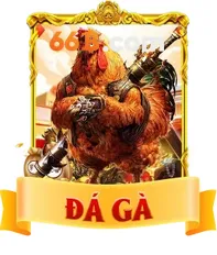 đá gà 66B